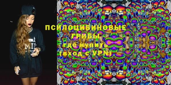 шишки Михайловск