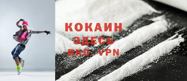 шишки Михайловск