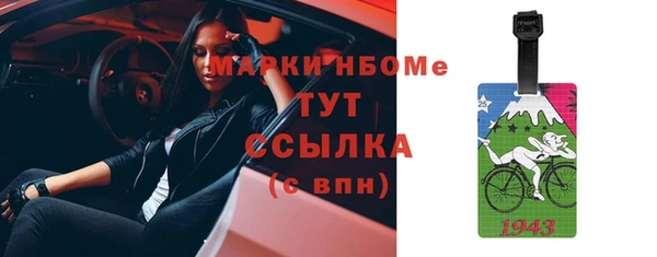 шишки Михайловск