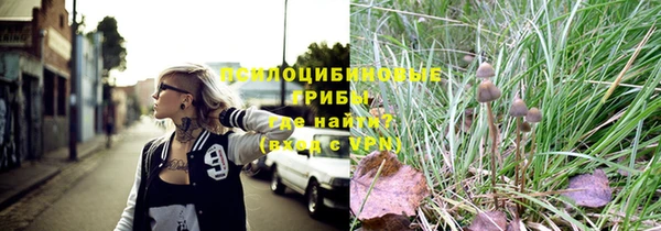 дмт Мегион