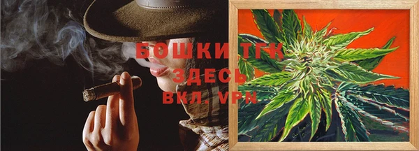 шишки Михайловск
