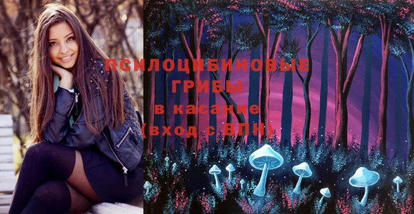 шишки Михайловск
