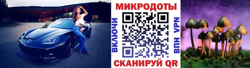 Галлюциногенные грибы Magic Shrooms  наркошоп  Сунжа 