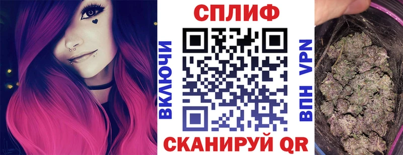Канабис план  закладки  Сунжа 